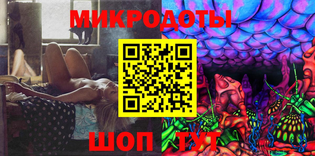 Псилоцибиновые грибы Psilocybe Прокопьевск