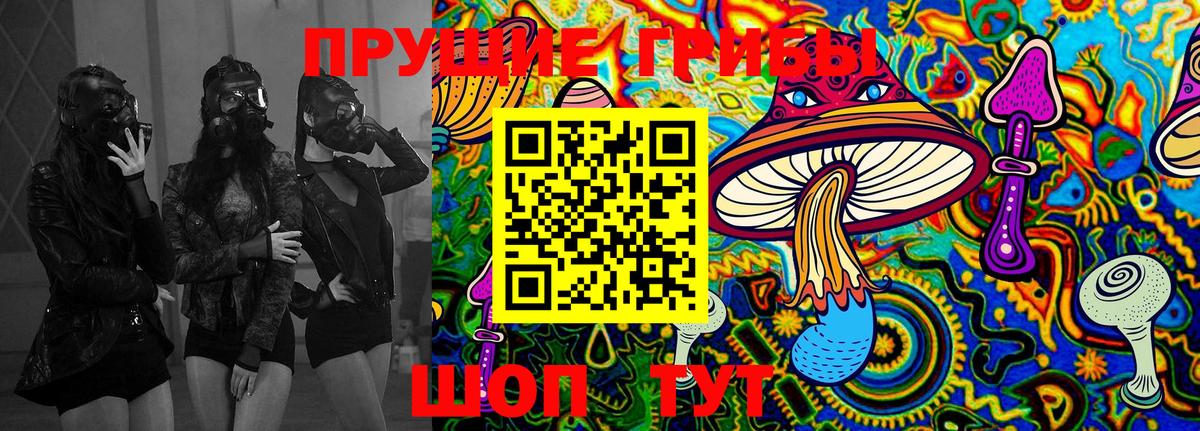Галлюциногенные грибы ЛСД  Галлюциногенные грибы Psilocybe  Вход с VPN  Прокопьевск 